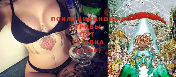 ешки Заволжье