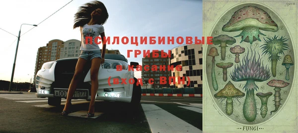 гидра Елабуга