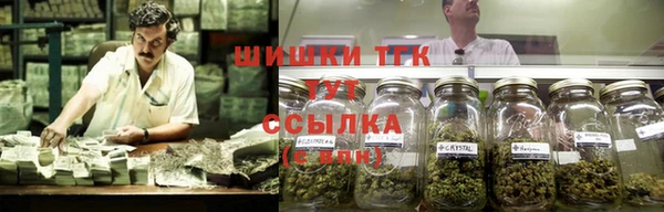 гидра Елабуга