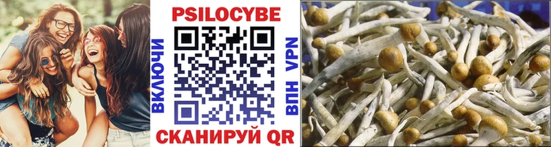 Псилоцибиновые грибы MAGIC MUSHROOMS  Купить  Верещагино 